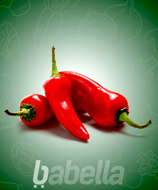 PAPRIKA KÁPIA II.OSZT. >DB-OS<